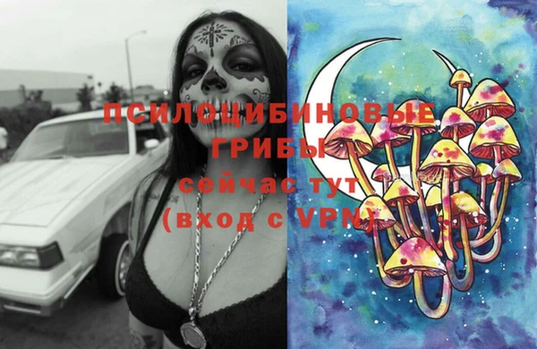 ешки Арсеньев