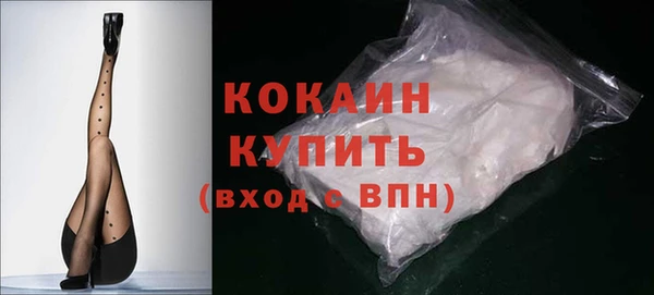 индика Армянск