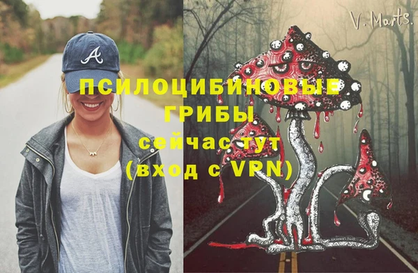 индика Армянск