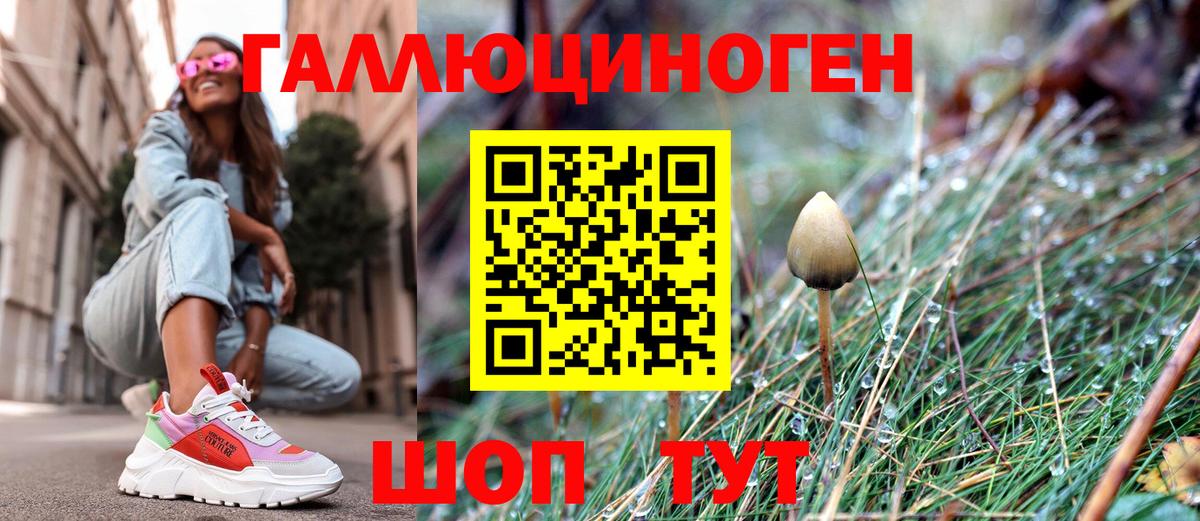 Псилоцибиновые грибы ЛСД Сатка