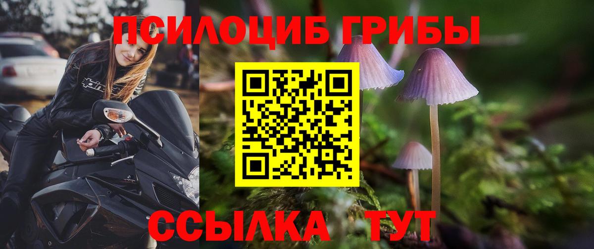 Галлюциногенные грибы прущие грибы  Галлюциногенные грибы Magic Shrooms  Вход с VPN  Сатка 